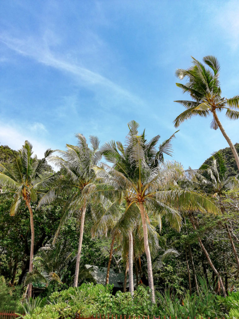 Giungla Railay